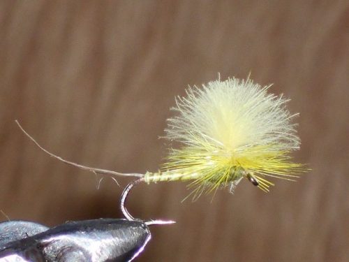 CDC Yellow Mayfly