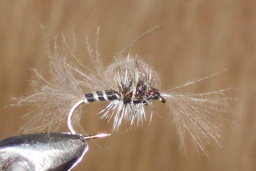 black cdc hatching midge