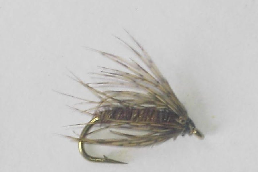 Pheasant tail soft hackle wet fly