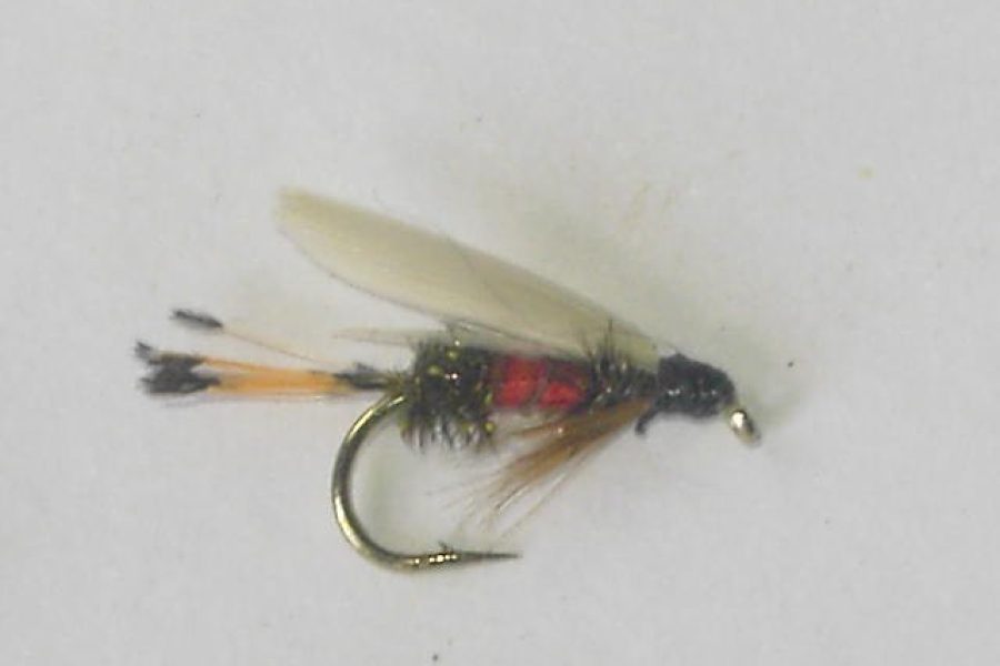 Royal coachman wet fly