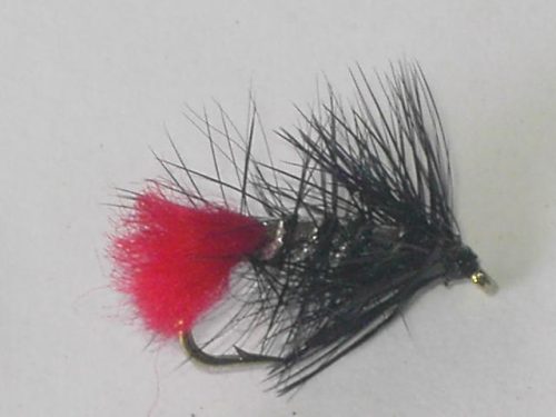 Black Zulu wet fly