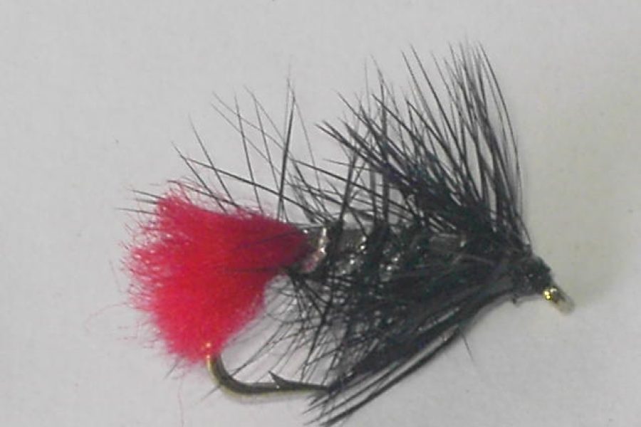 Black Zulu wet fly