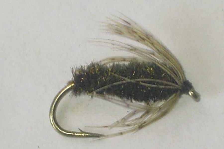 Soft hackle partridge & herl fly