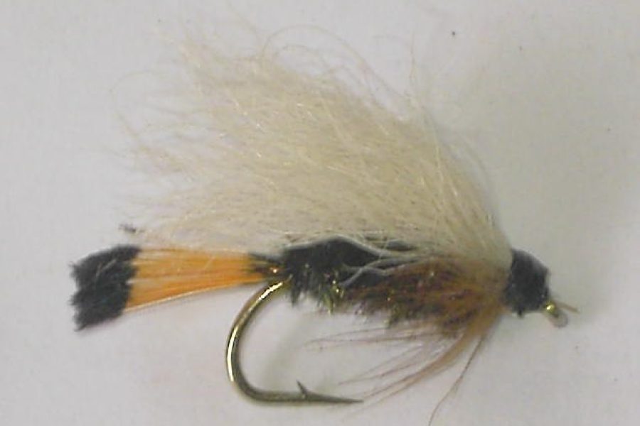 Western coachman wet fly