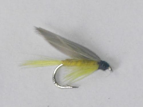 Yellow dun wet fly