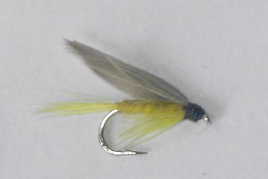 Yellow dun wet fly