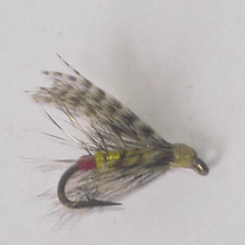 Yellow palmer wet fly