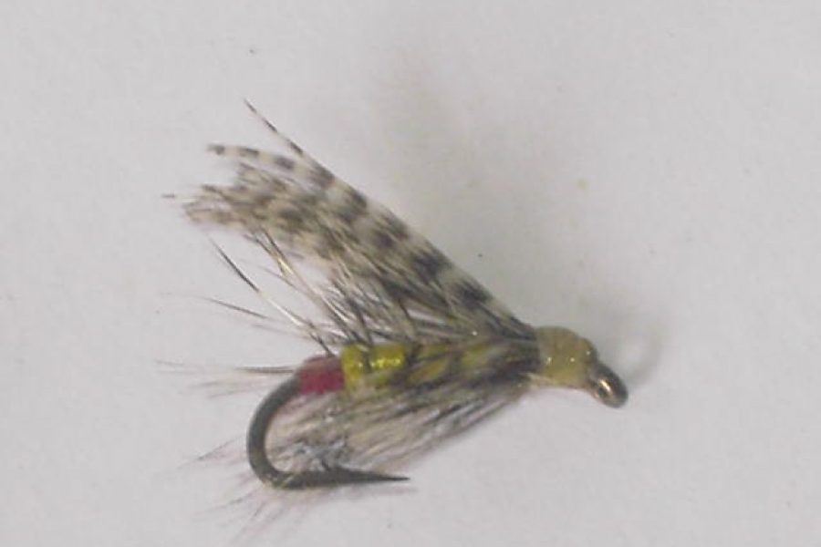 Yellow palmer wet fly