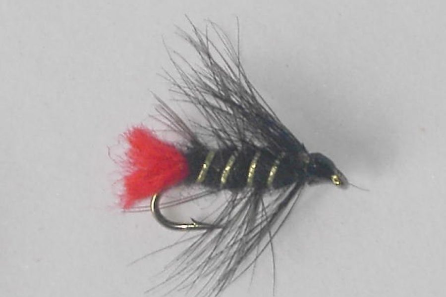 Silver Zulu wet fly