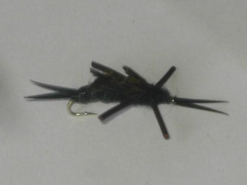 black Rubber legs stonefly