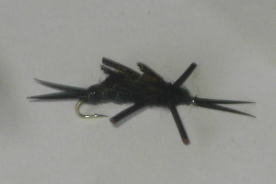 black Rubber legs stonefly