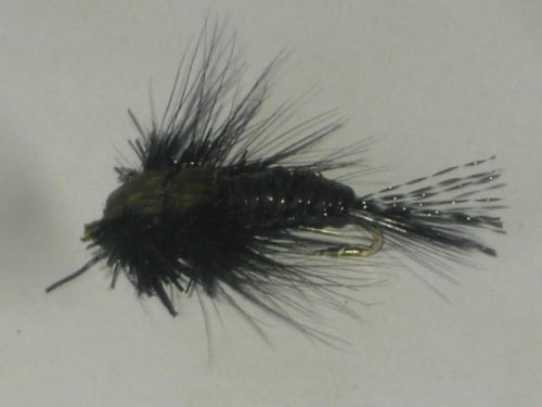 black Woven Stonefly