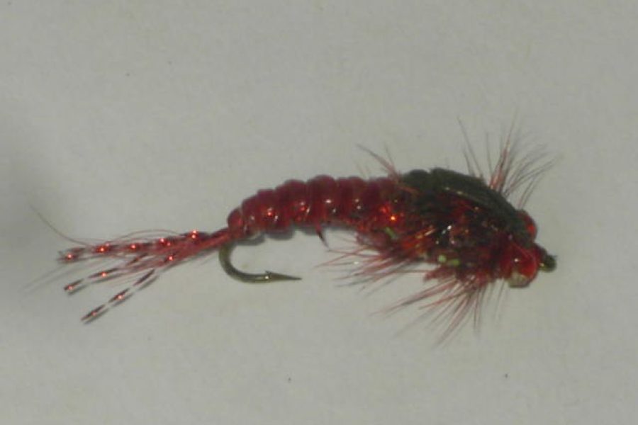 Woven Stonefly Red