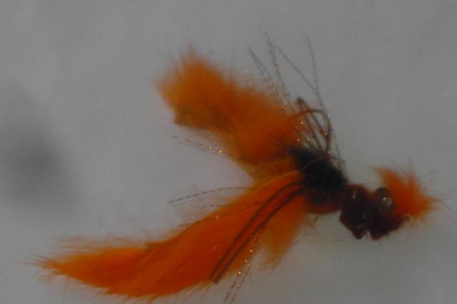 Crawdad crab orange fly