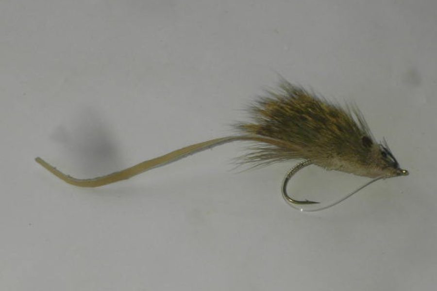 Mouse rat bass fly