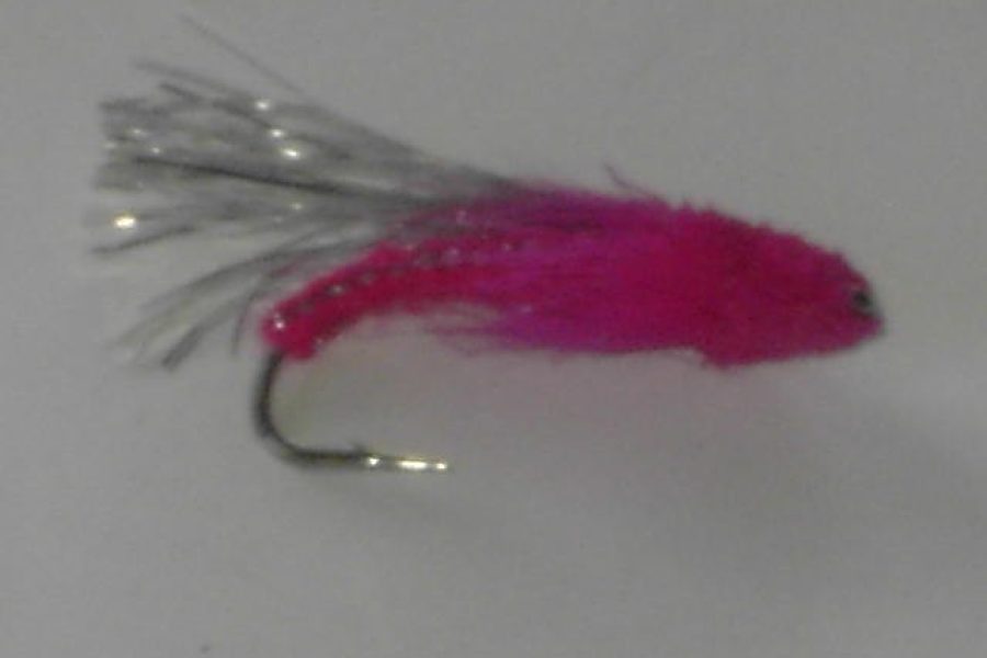 Pink special muddler fly