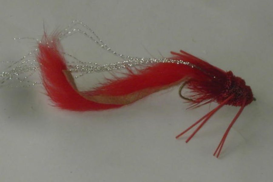 Sculpin swimmer red fly