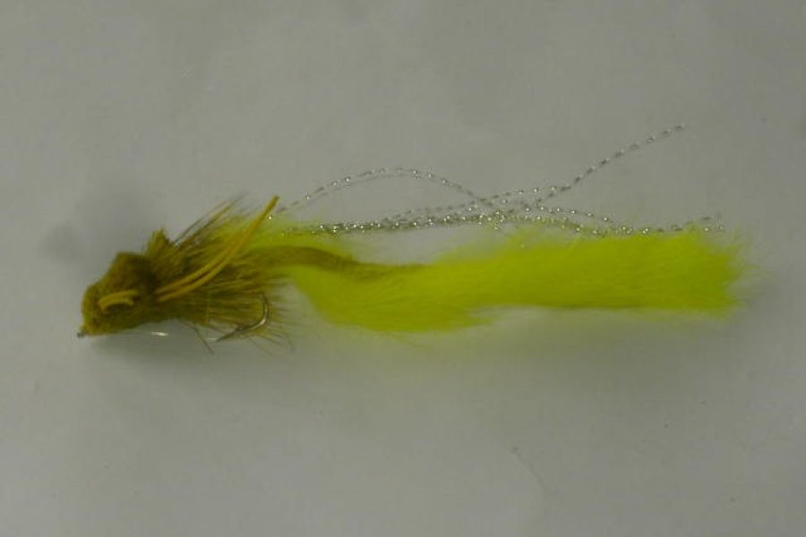 Sculpin swimmer yellow fly