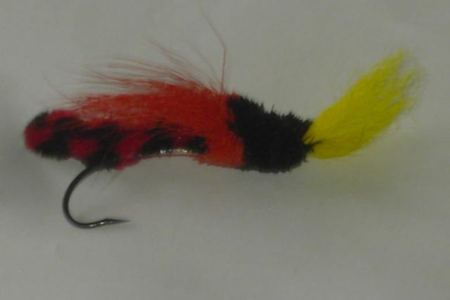 Spey skater red fly