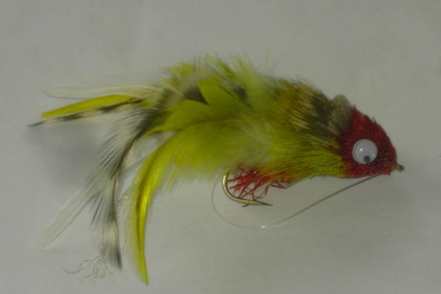 Swimming baitfish red & yellow