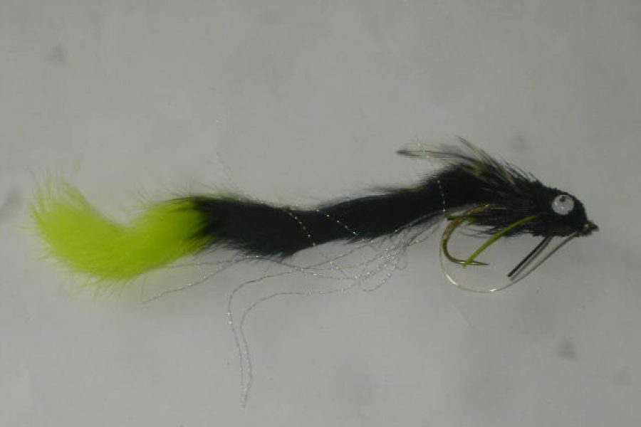 black Umpqua swimming water dog fly