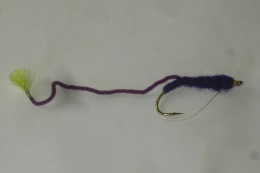 V worm purple fly