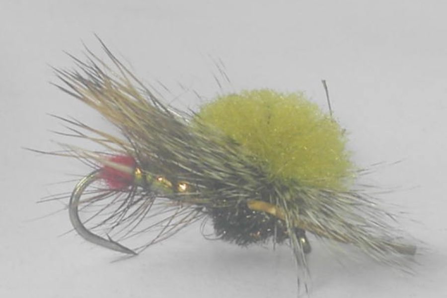 Parachute hopper stone fly