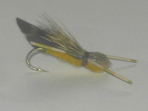 Adult foam Golden Stonefly