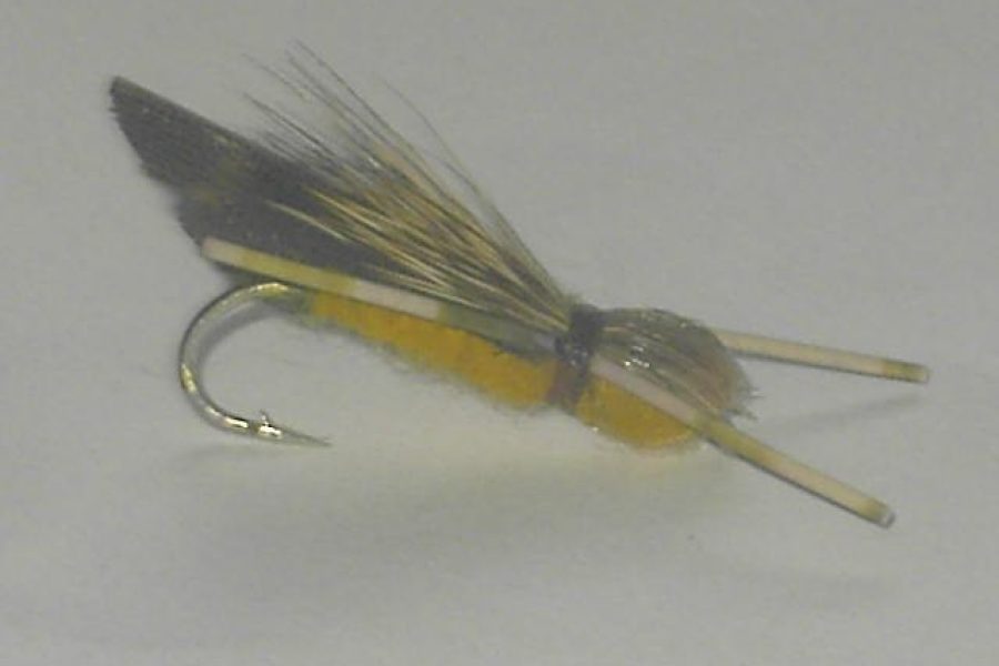 Adult foam Golden Stonefly