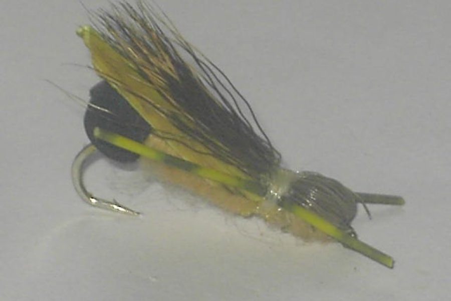 Adult foam stone tan fly