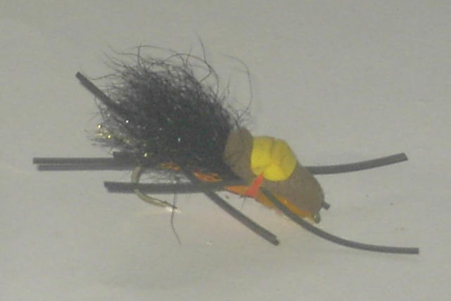 Dead stone salmon fly