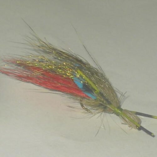 Red tail bullethead fly