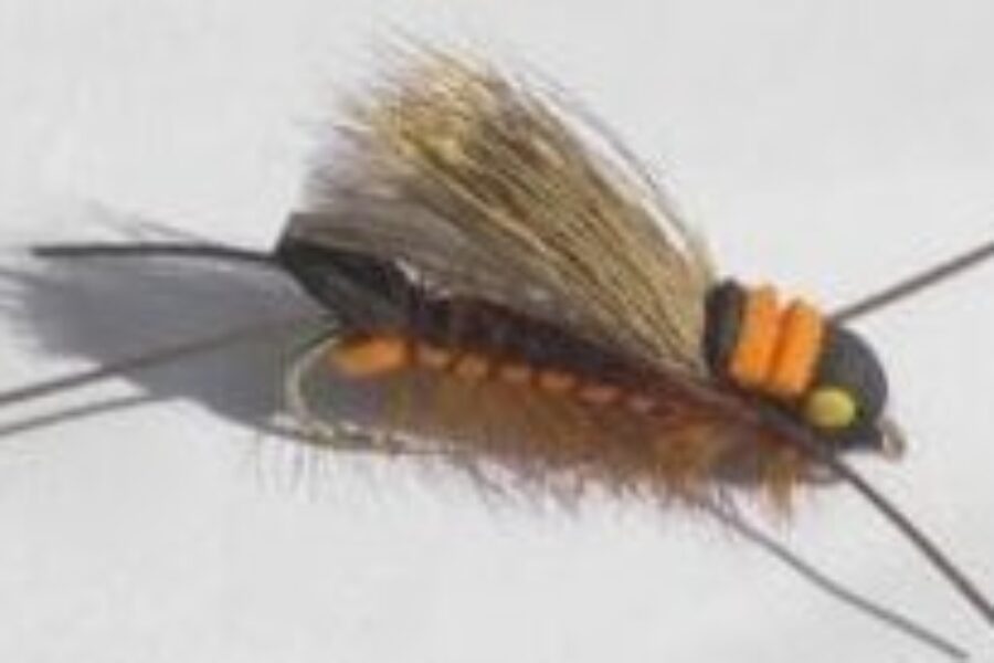 Orange Salmon fly hopper