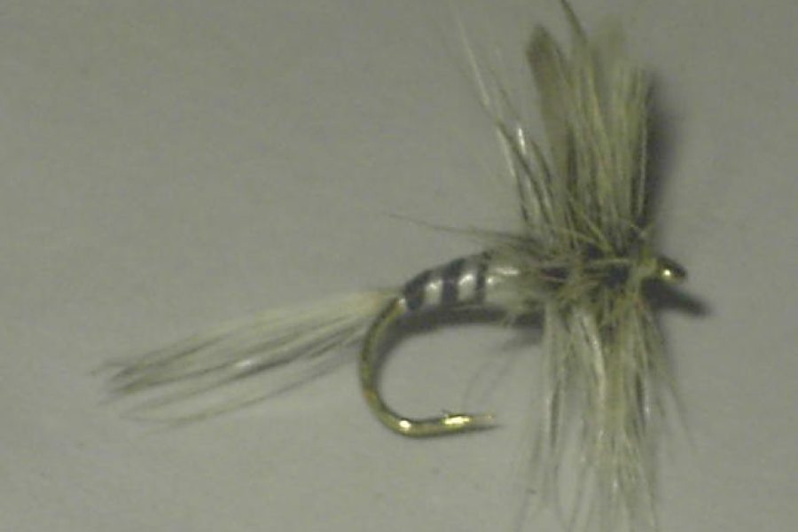 Badger variant dry fly