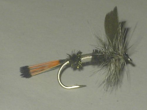 Bentz coachman dry fly