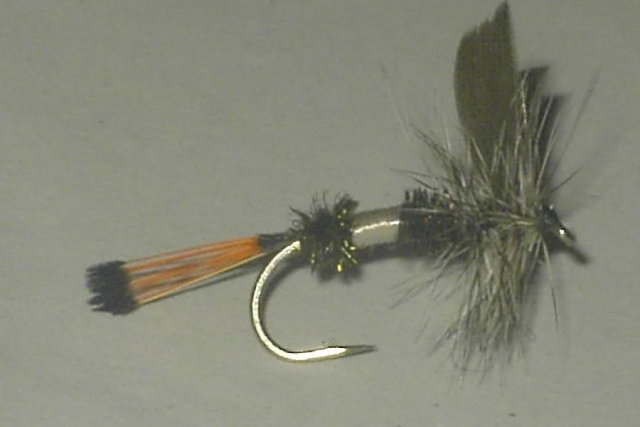 Bentz coachman dry fly