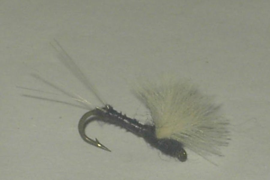 CDC Biot comparadun trico male fly