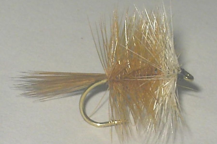 Bivisible brown dry fly