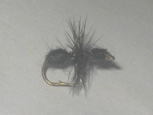 Black ant dry fly