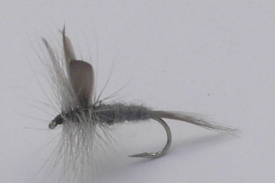 Blue Dun Dry Fly