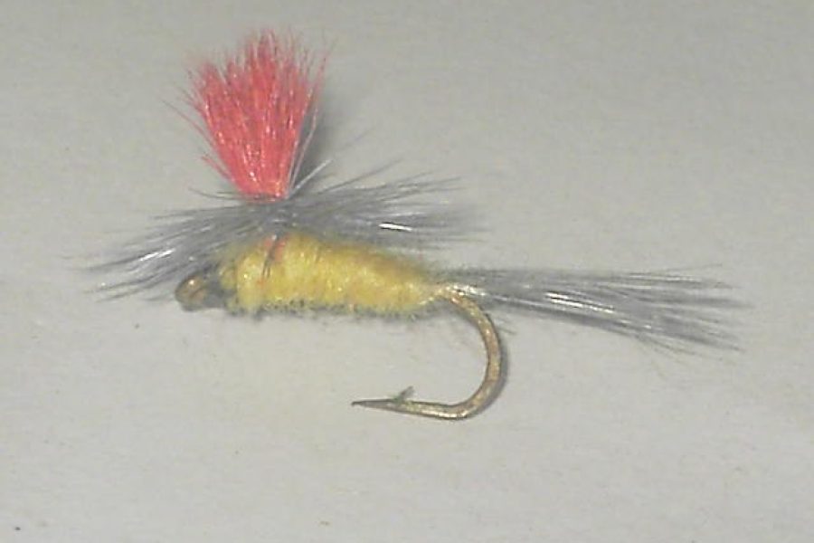 Bright wing parachute cream dry fly