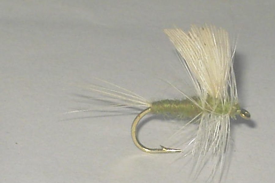 Blue Winged Olive Thorax dry fly