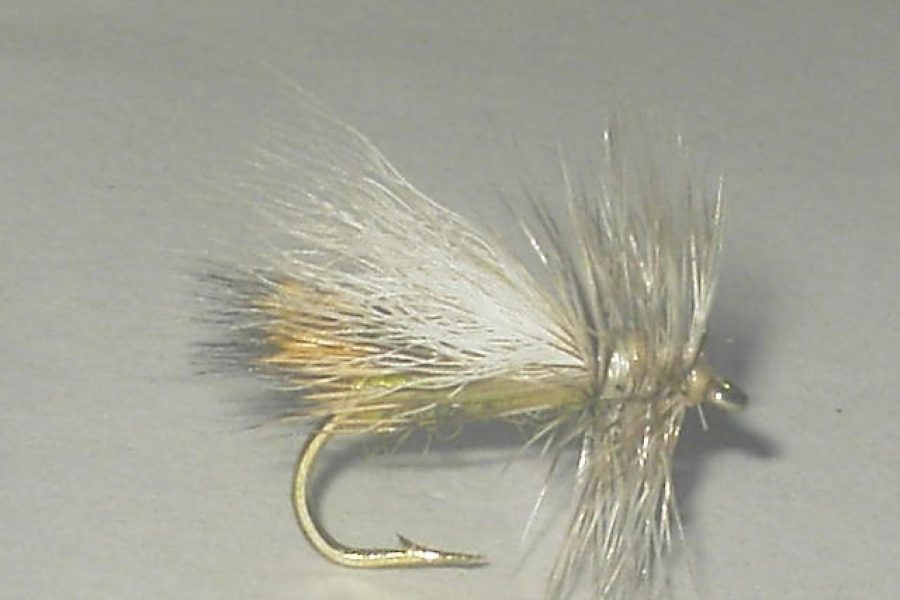 Caddis variant light dry fly