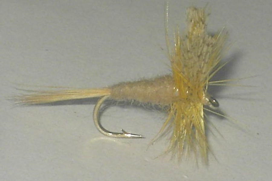 Cahill light dry fly