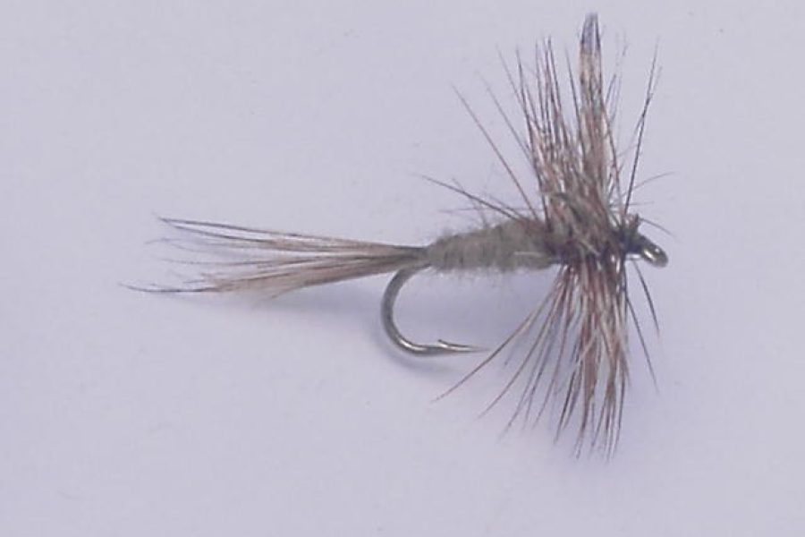 Adams dry fly