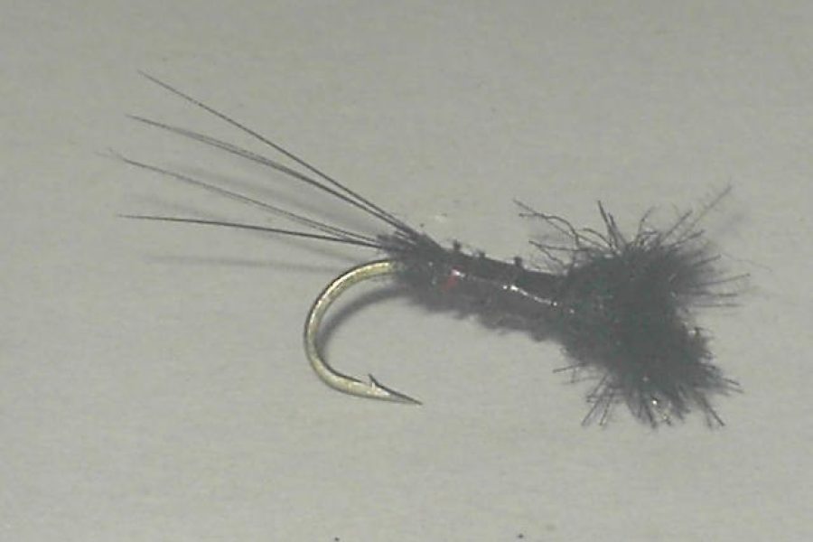 Cdc biot spinner black fly