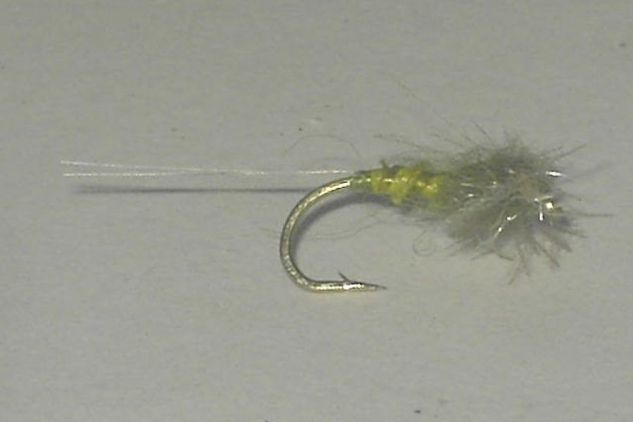 Cdc biot spinner bwo