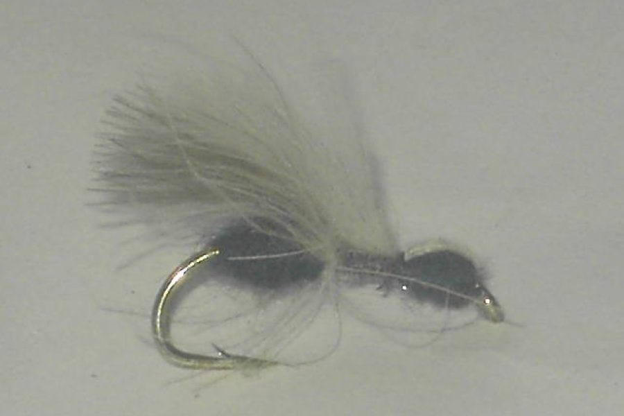 Cdc black ant dry fly