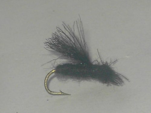 Black CDC Caddis Adult fly