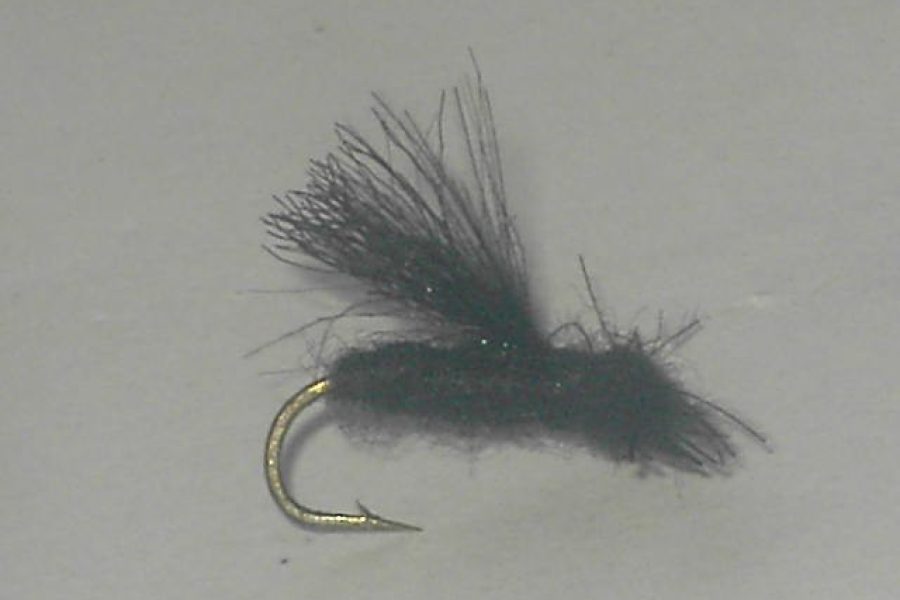 Black CDC Caddis Adult fly